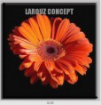 /album/photo-gallery-canvas-uri/decoratiuni-de-perete-canvas-lc-0135-jpg/